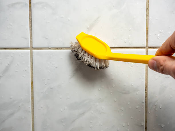 Best Health and Safety Mold Remediation in Thorndale, TX