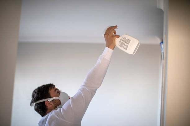 Best White Mold Remediation in Thorndale, TX