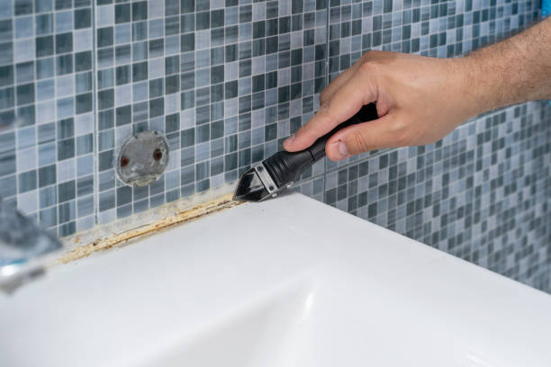 Best Kitchen Mold Remediation in Thorndale, TX